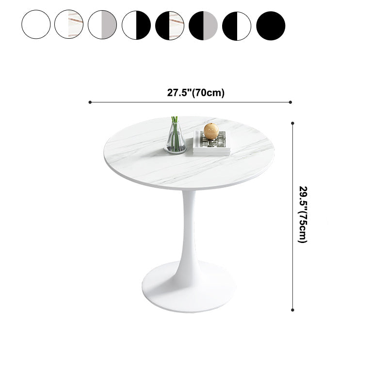 Simple Round Dining Table Sintered Stone Table with Tulip Base for Dining Room Clearhalo ' dining_table' 'Dining Tables & Seating' 'Dining Tables' 'furn' 'furn_dining_table' 'Furniture' 'furniture_dining_table' 'Kitchen & Dining Furniture' 'kitchen&dining_furn' 'kitchen' 'kitchen_dining_table' 4020823
