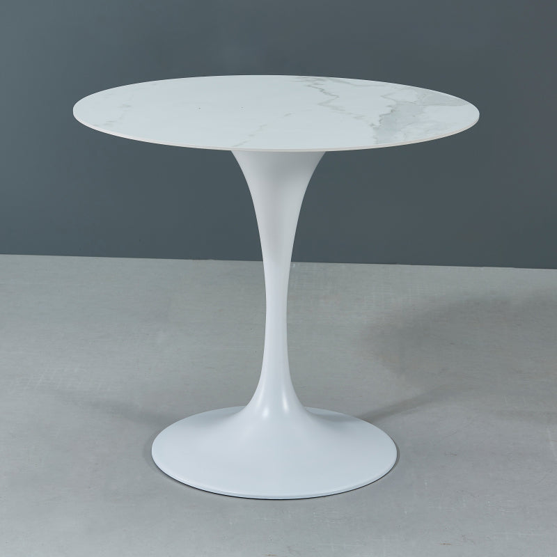 Modern Style Round Dining Table Sintered Stone Table with Tulip Base for Home Use White Without Chairs Clearhalo ' dining_table' 'Dining Tables & Seating' 'Dining Tables' 'furn' 'furn_dining_table' 'Furniture' 'furniture_dining_table' 'Kitchen & Dining Furniture' 'kitchen&dining_furn' 'kitchen' 'kitchen_dining_table' 4033182