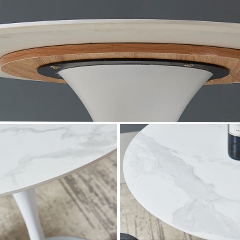 Modern Style Round Dining Table Sintered Stone Table with Tulip Base for Home Use Clearhalo ' dining_table' 'Dining Tables & Seating' 'Dining Tables' 'furn' 'furn_dining_table' 'Furniture' 'furniture_dining_table' 'Kitchen & Dining Furniture' 'kitchen&dining_furn' 'kitchen' 'kitchen_dining_table' 4033188