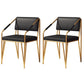 Scandinavian Style Metal Chairs Kitchen Open Back Side Chair (Set of 2) Gold Clearhalo ' kitchen&dining_furn' 'Dining Chairs' 'Dining Tables & Seating' 'dining_chair' 'furn' 'furn_dining_chair' 'Furniture' 'furniture_dining_chair' 'Kitchen & Dining Furniture' 'kitchen' 4038164