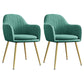 Upholstered Velvet Dining Arm Chair Solid Back Armchair with Metal Legs Green 2 Piece Set Brass Gold Clearhalo ' kitchen&dining_furn' 'Dining Chairs' 'Dining Tables & Seating' 'dining_chair' 'furn' 'furn_dining_chair' 'Furniture' 'furniture_dining_chair' 'Kitchen & Dining Furniture' 'kitchen' 4038189