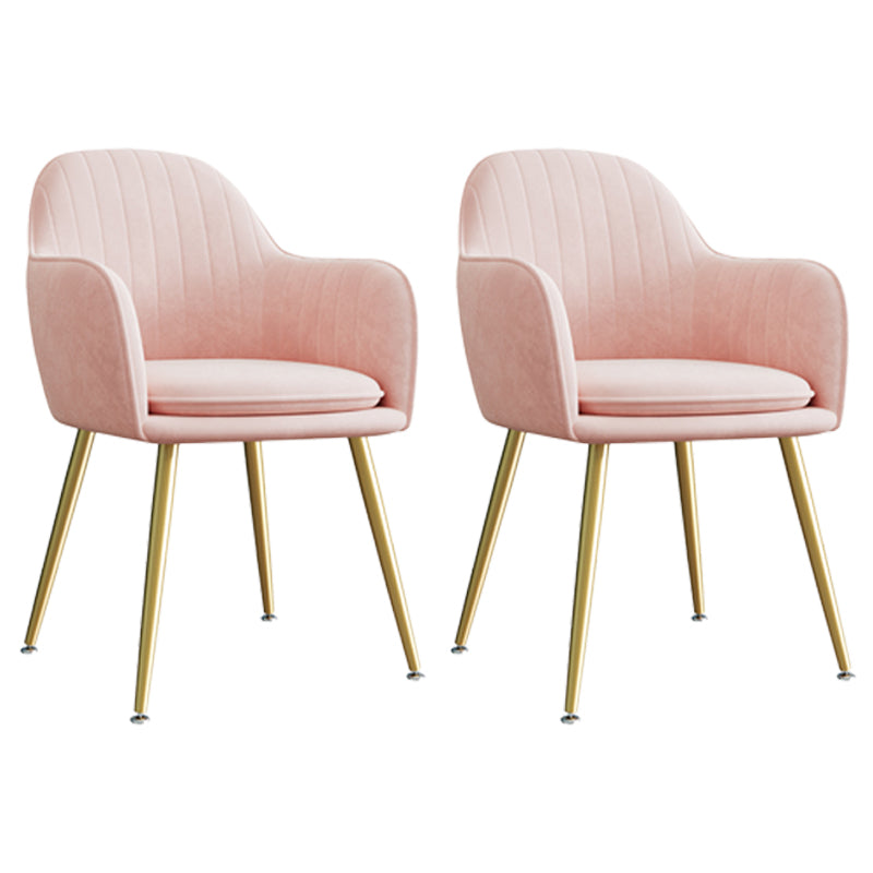 Upholstered Velvet Dining Arm Chair Solid Back Armchair with Metal Legs Pink 2 Piece Set Brass Gold Clearhalo ' kitchen&dining_furn' 'Dining Chairs' 'Dining Tables & Seating' 'dining_chair' 'furn' 'furn_dining_chair' 'Furniture' 'furniture_dining_chair' 'Kitchen & Dining Furniture' 'kitchen' 4038198
