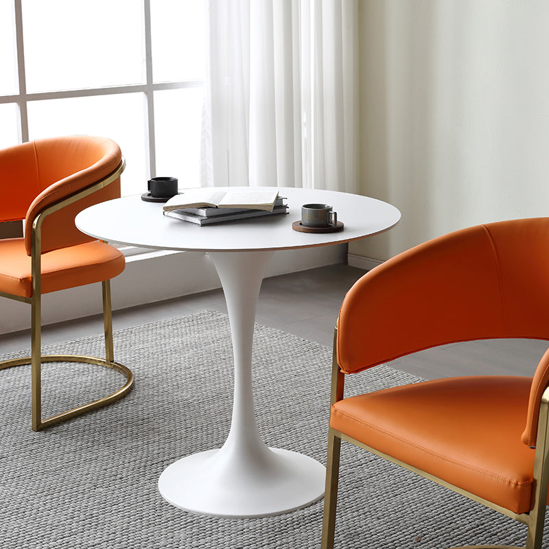 Metal Modern Round Table Sintered Stone Table for Kitchen and Dining Room Clearhalo ' dining_table' 'Dining Tables & Seating' 'Dining Tables' 'furn' 'furn_dining_table' 'Furniture' 'furniture_dining_table' 'Kitchen & Dining Furniture' 'kitchen&dining_furn' 'kitchen' 'kitchen_dining_table' 4050974