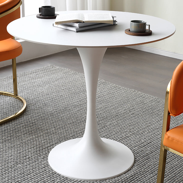 Metal Modern Round Table Sintered Stone Table for Kitchen and Dining Room Clearhalo ' dining_table' 'Dining Tables & Seating' 'Dining Tables' 'furn' 'furn_dining_table' 'Furniture' 'furniture_dining_table' 'Kitchen & Dining Furniture' 'kitchen&dining_furn' 'kitchen' 'kitchen_dining_table' 4050975