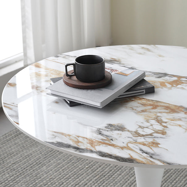 Metal Modern Round Table Sintered Stone Table for Kitchen and Dining Room Clearhalo ' dining_table' 'Dining Tables & Seating' 'Dining Tables' 'furn' 'furn_dining_table' 'Furniture' 'furniture_dining_table' 'Kitchen & Dining Furniture' 'kitchen&dining_furn' 'kitchen' 'kitchen_dining_table' 4050978