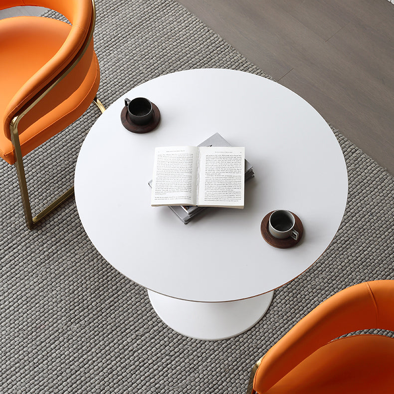 Metal Modern Round Table Sintered Stone Table for Kitchen and Dining Room Clearhalo ' dining_table' 'Dining Tables & Seating' 'Dining Tables' 'furn' 'furn_dining_table' 'Furniture' 'furniture_dining_table' 'Kitchen & Dining Furniture' 'kitchen&dining_furn' 'kitchen' 'kitchen_dining_table' 4050980