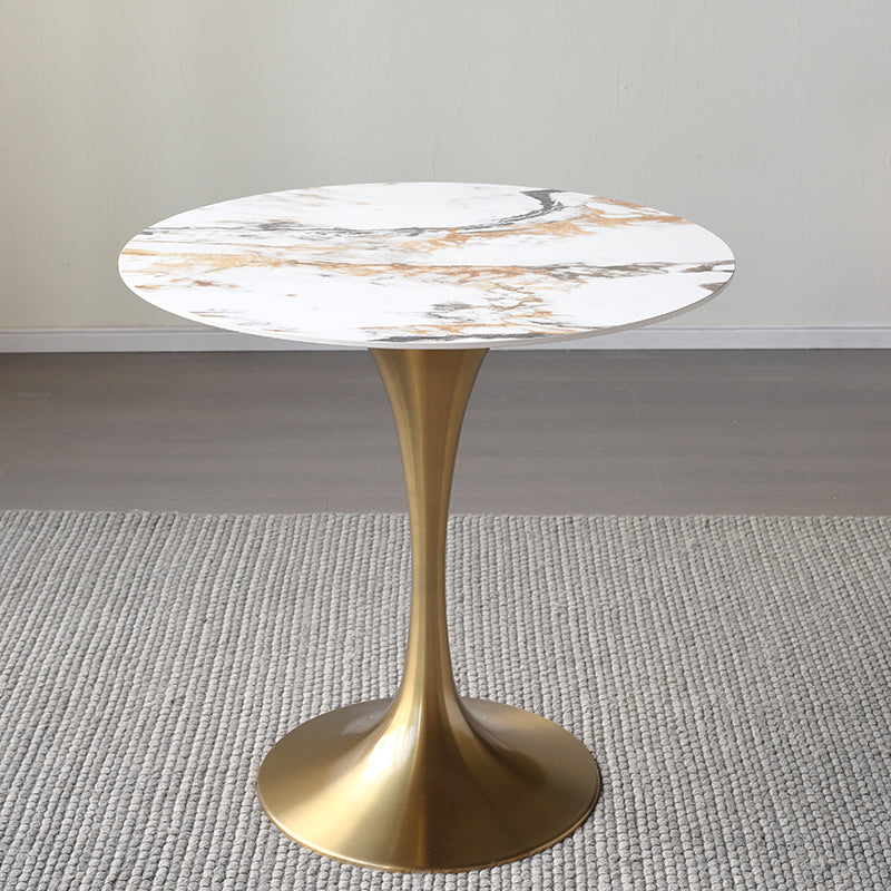 Metal Modern Round Table Sintered Stone Table for Kitchen and Dining Room Clearhalo ' dining_table' 'Dining Tables & Seating' 'Dining Tables' 'furn' 'furn_dining_table' 'Furniture' 'furniture_dining_table' 'Kitchen & Dining Furniture' 'kitchen&dining_furn' 'kitchen' 'kitchen_dining_table' 4050981