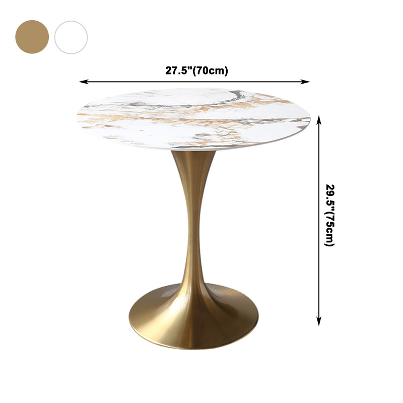 Metal Modern Round Table Sintered Stone Table for Kitchen and Dining Room Clearhalo ' dining_table' 'Dining Tables & Seating' 'Dining Tables' 'furn' 'furn_dining_table' 'Furniture' 'furniture_dining_table' 'Kitchen & Dining Furniture' 'kitchen&dining_furn' 'kitchen' 'kitchen_dining_table' 4050982