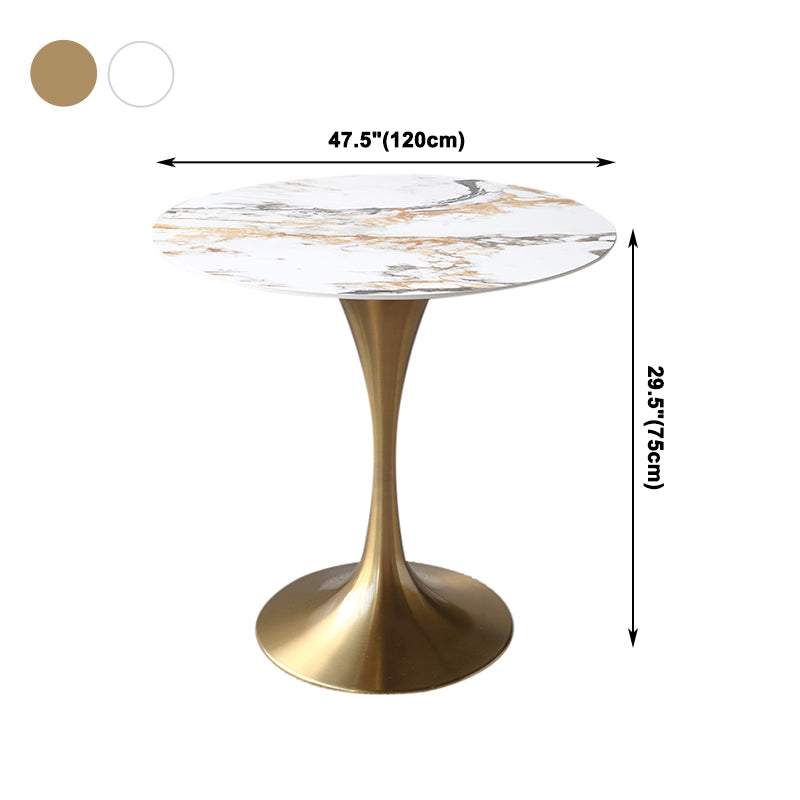 Metal Modern Round Table Sintered Stone Table for Kitchen and Dining Room Clearhalo ' dining_table' 'Dining Tables & Seating' 'Dining Tables' 'furn' 'furn_dining_table' 'Furniture' 'furniture_dining_table' 'Kitchen & Dining Furniture' 'kitchen&dining_furn' 'kitchen' 'kitchen_dining_table' 4050987