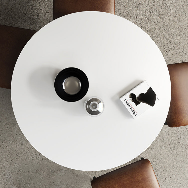 Modern Standard Kitchen Dining Table Wood Round Shape Dining Table with Pedestal Base Clearhalo ' dining_table' 'Dining Tables & Seating' 'Dining Tables' 'furn' 'furn_dining_table' 'Furniture' 'furniture_dining_table' 'Kitchen & Dining Furniture' 'kitchen&dining_furn' 'kitchen' 'kitchen_dining_table' 4051061