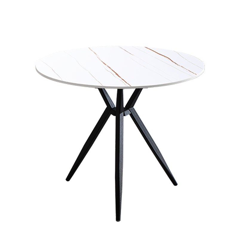 Modern Style Round Dinner Table Sintered Stone Table with Metal Base for Home Use White Gold Black Clearhalo ' dining_table' 'Dining Tables & Seating' 'Dining Tables' 'furn' 'furn_dining_table' 'Furniture' 'furniture_dining_table' 'Kitchen & Dining Furniture' 'kitchen&dining_furn' 'kitchen' 'kitchen_dining_table' 4051419