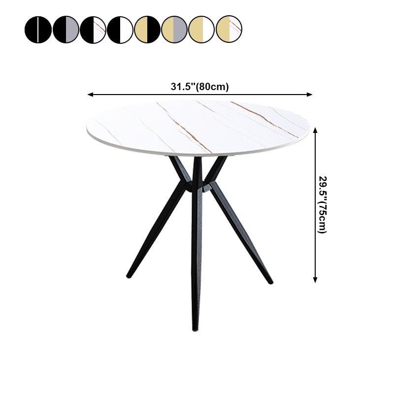Modern Style Round Dinner Table Sintered Stone Table with Metal Base for Home Use Clearhalo ' dining_table' 'Dining Tables & Seating' 'Dining Tables' 'furn' 'furn_dining_table' 'Furniture' 'furniture_dining_table' 'Kitchen & Dining Furniture' 'kitchen&dining_furn' 'kitchen' 'kitchen_dining_table' 4051430
