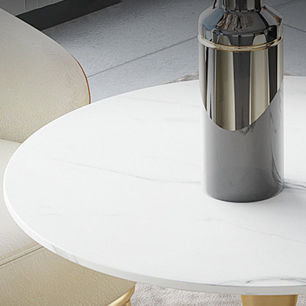 Traditional Luxury Dining Table Round Sintered Stone Dining Table with Tulip Base Clearhalo ' dining_table' 'Dining Tables & Seating' 'Dining Tables' 'furn' 'furn_dining_table' 'Furniture' 'furniture_dining_table' 'Kitchen & Dining Furniture' 'kitchen&dining_furn' 'kitchen' 'kitchen_dining_table' 4060672