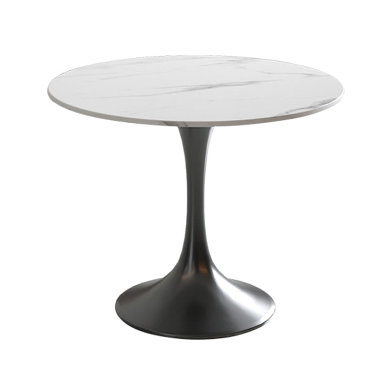 Traditional Luxury Dining Table Round Sintered Stone Dining Table with Tulip Base Black Without Chairs Clearhalo ' dining_table' 'Dining Tables & Seating' 'Dining Tables' 'furn' 'furn_dining_table' 'Furniture' 'furniture_dining_table' 'Kitchen & Dining Furniture' 'kitchen&dining_furn' 'kitchen' 'kitchen_dining_table' 4060673