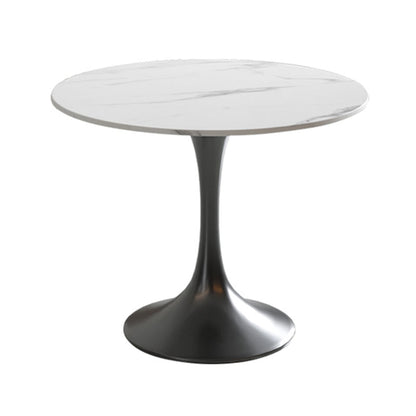 Traditional Luxury Dining Table Round Sintered Stone Dining Table with Tulip Base Black Without Chairs Clearhalo ' dining_table' 'Dining Tables & Seating' 'Dining Tables' 'furn' 'furn_dining_table' 'Furniture' 'furniture_dining_table' 'Kitchen & Dining Furniture' 'kitchen&dining_furn' 'kitchen' 'kitchen_dining_table' 4060673