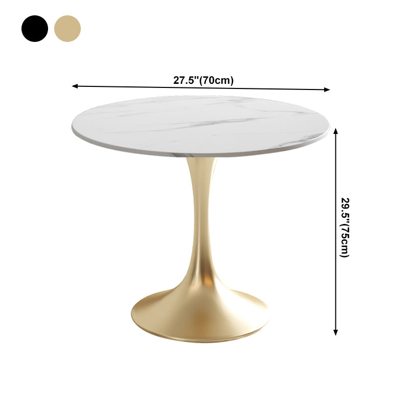 Traditional Luxury Dining Table Round Sintered Stone Dining Table with Tulip Base Clearhalo ' dining_table' 'Dining Tables & Seating' 'Dining Tables' 'furn' 'furn_dining_table' 'Furniture' 'furniture_dining_table' 'Kitchen & Dining Furniture' 'kitchen&dining_furn' 'kitchen' 'kitchen_dining_table' 4060679