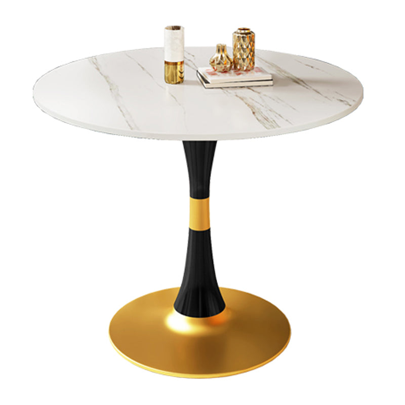 Round Traditional Luxury Dining Table Sintered Stone Table with Tulip Base White Without Chairs Clearhalo ' dining_table' 'Dining Tables & Seating' 'Dining Tables' 'furn' 'furn_dining_table' 'Furniture' 'furniture_dining_table' 'Kitchen & Dining Furniture' 'kitchen&dining_furn' 'kitchen' 'kitchen_dining_table' 4060836