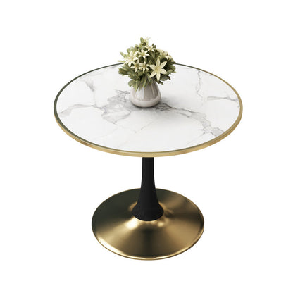 31.5-inch Metal Contemporary Dining Table Round Table for Kitchen and Dining Room White Without Chairs Clearhalo ' dining_table' 'Dining Tables & Seating' 'Dining Tables' 'furn' 'furn_dining_table' 'Furniture' 'furniture_dining_table' 'Kitchen & Dining Furniture' 'kitchen&dining_furn' 'kitchen' 'kitchen_dining_table' 4060901