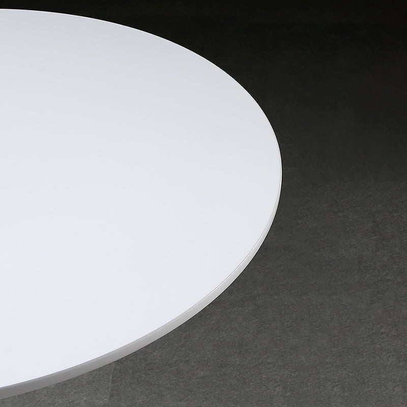 Metal Contemporary Round Dining Table Wood Top Table with Tulip Clearhalo ' dining_table' 'Dining Tables & Seating' 'Dining Tables' 'furn' 'furn_dining_table' 'Furniture' 'furniture_dining_table' 'Kitchen & Dining Furniture' 'kitchen&dining_furn' 'kitchen' 'kitchen_dining_table' 4060934