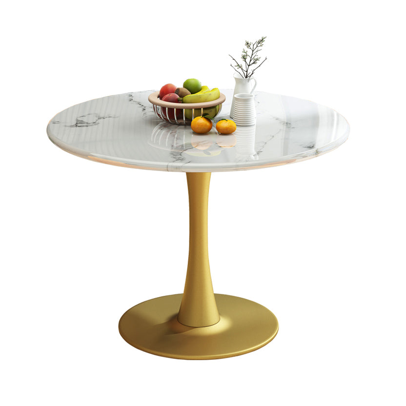 31.5-inch Metal Traditional Luxury Dining Table Round Indoor Table with Tulip White Without Chairs Clearhalo ' dining_table' 'Dining Tables & Seating' 'Dining Tables' 'furn' 'furn_dining_table' 'Furniture' 'furniture_dining_table' 'Kitchen & Dining Furniture' 'kitchen&dining_furn' 'kitchen' 'kitchen_dining_table' 4061119