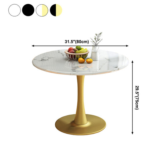 31.5-inch Metal Traditional Luxury Dining Table Round Indoor Table with Tulip Clearhalo ' dining_table' 'Dining Tables & Seating' 'Dining Tables' 'furn' 'furn_dining_table' 'Furniture' 'furniture_dining_table' 'Kitchen & Dining Furniture' 'kitchen&dining_furn' 'kitchen' 'kitchen_dining_table' 4061124
