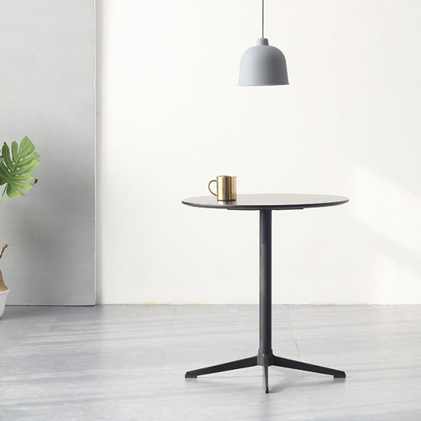 Metal Traditional Luxury Round Dining Table Manufactured Wood Indoor Table for Kitchen Clearhalo ' dining_table' 'Dining Tables & Seating' 'Dining Tables' 'furn' 'furn_dining_table' 'Furniture' 'furniture_dining_table' 'Kitchen & Dining Furniture' 'kitchen&dining_furn' 'kitchen' 'kitchen_dining_table' 4061138