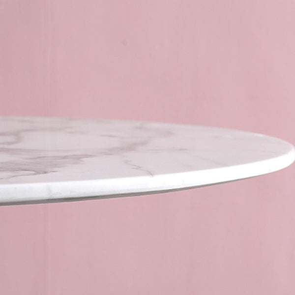 Metal Traditional Luxury Round Dining Table Marble Indoor Table Top with Pedestal Base Clearhalo ' dining_table' 'Dining Tables & Seating' 'Dining Tables' 'furn' 'furn_dining_table' 'Furniture' 'furniture_dining_table' 'Kitchen & Dining Furniture' 'kitchen&dining_furn' 'kitchen' 'kitchen_dining_table' 4061156