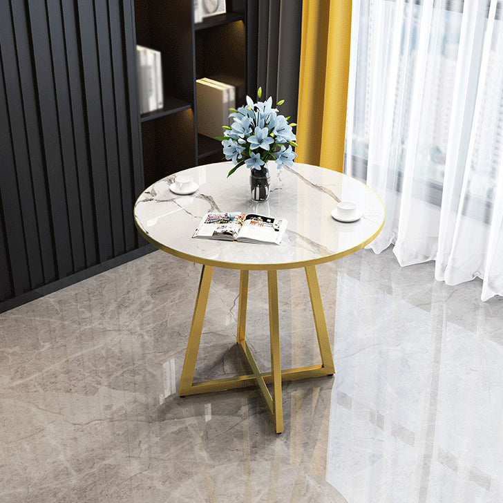 Metal Traditional Luxury Round Indoor Table Manufactured Wood Table with Sled Base Clearhalo ' dining_table' 'Dining Tables & Seating' 'Dining Tables' 'furn' 'furn_dining_table' 'Furniture' 'furniture_dining_table' 'Kitchen & Dining Furniture' 'kitchen&dining_furn' 'kitchen' 'kitchen_dining_table' 4061171
