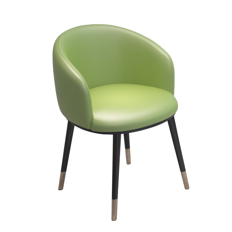 Scandinavian Style Metal Chair Solid Back Side Kitchen Dining Room Chairs Set Green 1 Piece Clearhalo ' kitchen&dining_furn' 'Dining Chairs' 'Dining Tables & Seating' 'dining_chair' 'furn' 'furn_dining_chair' 'Furniture' 'furniture_dining_chair' 'Kitchen & Dining Furniture' 'kitchen' 4066447