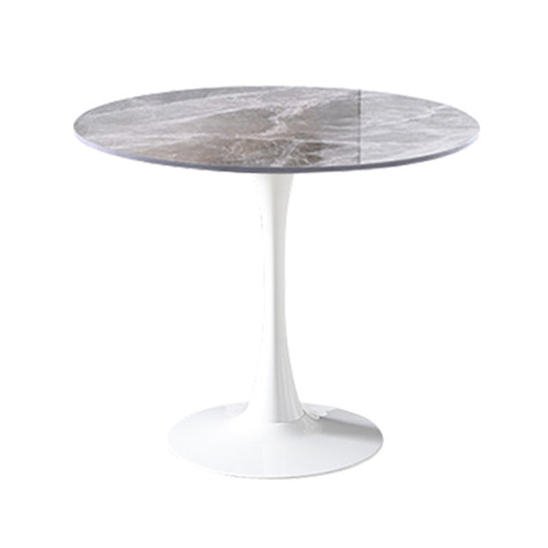 Simplicity Round Dining Room Table Sintered Stone Table with Tulip Base Gray White Clearhalo ' dining_table' 'Dining Tables & Seating' 'Dining Tables' 'furn' 'furn_dining_table' 'Furniture' 'furniture_dining_table' 'Kitchen & Dining Furniture' 'kitchen&dining_furn' 'kitchen' 'kitchen_dining_table' 4067692