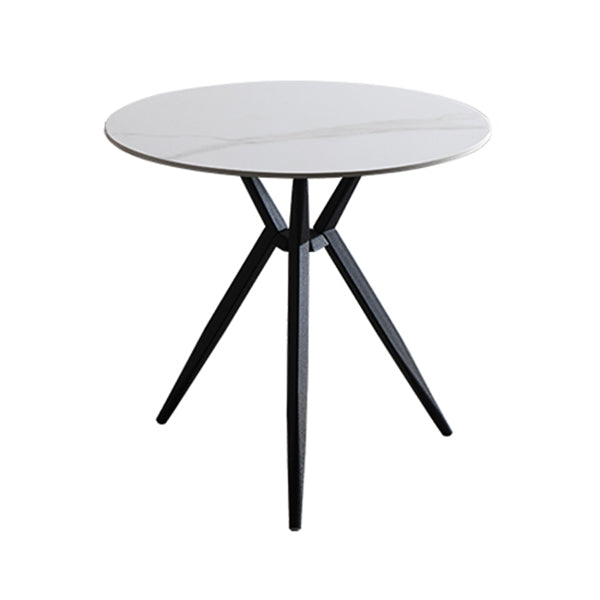 Traditional Luxury Style Dining Table Round Sintered Stone Table with Metal White Without Chairs Clearhalo ' dining_table' 'Dining Tables & Seating' 'Dining Tables' 'furn' 'furn_dining_table' 'Furniture' 'furniture_dining_table' 'Kitchen & Dining Furniture' 'kitchen&dining_furn' 'kitchen' 'kitchen_dining_table' 4067855