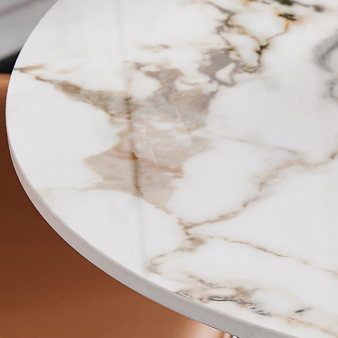 Round Shape Tulip Base Table Luxury White Tone Fixed Table with Sintered Stone Clearhalo ' dining_table' 'Dining Tables & Seating' 'Dining Tables' 'furn' 'furn_dining_table' 'Furniture' 'furniture_dining_table' 'Kitchen & Dining Furniture' 'kitchen&dining_furn' 'kitchen' 'kitchen_dining_table' 4068084