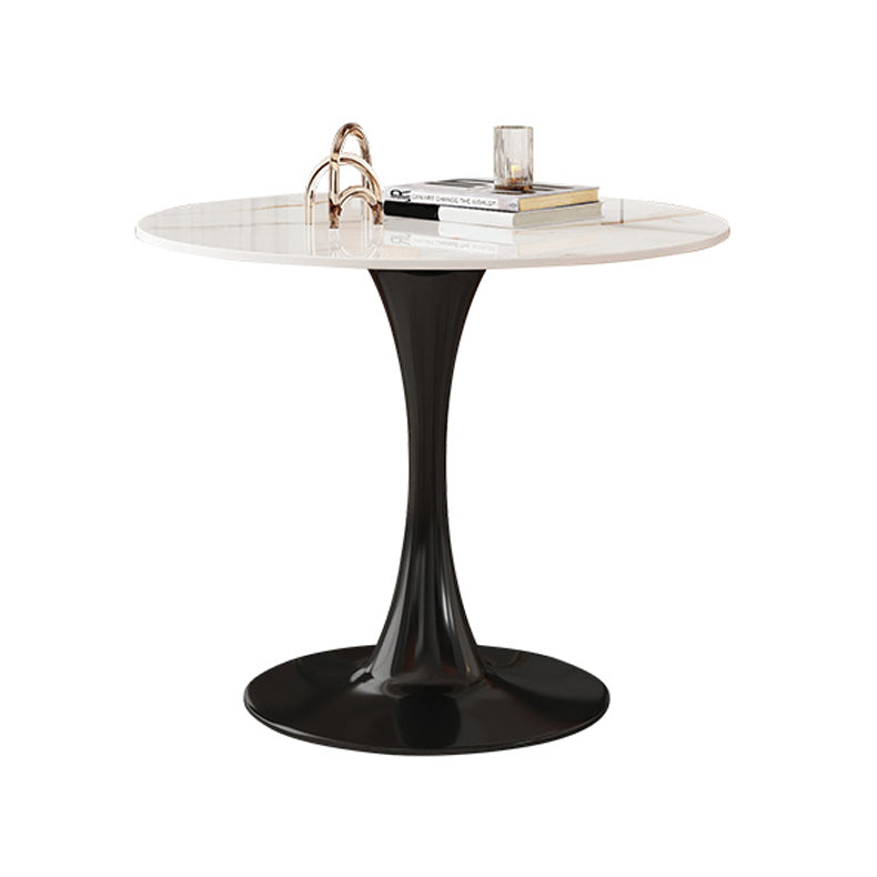Traditional Luxury Style Dining Table Round Sintered Stone Table for Dining Room Tulip White Clearhalo ' dining_table' 'Dining Tables & Seating' 'Dining Tables' 'furn' 'furn_dining_table' 'Furniture' 'furniture_dining_table' 'Kitchen & Dining Furniture' 'kitchen&dining_furn' 'kitchen' 'kitchen_dining_table' 4068418