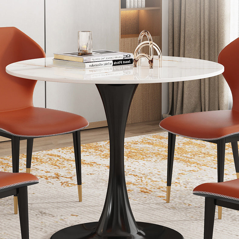 Traditional Luxury Style Dining Table Round Sintered Stone Table for Dining Room Clearhalo ' dining_table' 'Dining Tables & Seating' 'Dining Tables' 'furn' 'furn_dining_table' 'Furniture' 'furniture_dining_table' 'Kitchen & Dining Furniture' 'kitchen&dining_furn' 'kitchen' 'kitchen_dining_table' 4068420