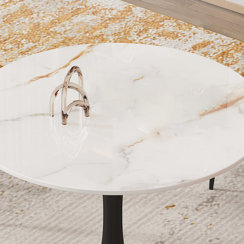 Traditional Luxury Style Dining Table Round Sintered Stone Table for Dining Room Clearhalo ' dining_table' 'Dining Tables & Seating' 'Dining Tables' 'furn' 'furn_dining_table' 'Furniture' 'furniture_dining_table' 'Kitchen & Dining Furniture' 'kitchen&dining_furn' 'kitchen' 'kitchen_dining_table' 4068421