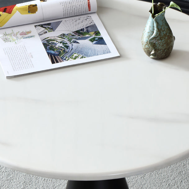 Metal Traditional Luxury Round Table Marble Top Indoor Table with Pedestal Clearhalo ' dining_table' 'Dining Tables & Seating' 'Dining Tables' 'furn' 'furn_dining_table' 'Furniture' 'furniture_dining_table' 'Kitchen & Dining Furniture' 'kitchen&dining_furn' 'kitchen' 'kitchen_dining_table' 4092059