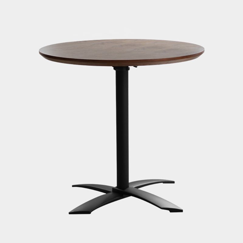 Metal Contemporary Round Dining Table Wood Top Dining Table with Pedestal Base Walnut Clearhalo ' dining_table' 'Dining Tables & Seating' 'Dining Tables' 'Furniture' 'furniture_dining_table' 'Kitchen & Dining Furniture' 'kitchen&dining_furn' 'kitchen' 'kitchen_dining_table' 4092306