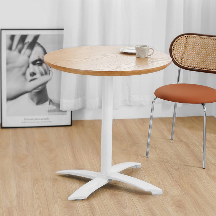 Metal Contemporary Round Dining Table Wood Top Dining Table with Pedestal Base Clearhalo ' dining_table' 'Dining Tables & Seating' 'Dining Tables' 'Furniture' 'furniture_dining_table' 'Kitchen & Dining Furniture' 'kitchen&dining_furn' 'kitchen' 'kitchen_dining_table' 4092317