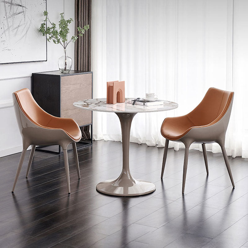 Contemporary Style Metal Dining Chair Dining Arm Side Chairs for Kitchen (Set of 2) Clearhalo ' kitchen&dining_furn' 'Dining Chairs' 'Dining Tables & Seating' 'dining_chair' 'furn' 'furn_dining_chair' 'Furniture' 'furniture_dining_chair' 'Kitchen & Dining Furniture' 'kitchen' 4096629