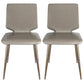 Contemporary Style Kitchen Metal Dining Chair Dining Armless Side Chair Grey 2 Piece Set Clearhalo ' kitchen&dining_furn' 'Dining Chairs' 'Dining Tables & Seating' 'dining_chair' 'furn' 'furn_dining_chair' 'Furniture' 'furniture_dining_chair' 'Kitchen & Dining Furniture' 'kitchen' 4097530