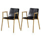 Solid Back Dining Arm Chairs Leather Home Dining Armchairs with Metal Legs Black 2 Piece Set Brass Gold Clearhalo ' kitchen&dining_furn' 'Dining Chairs' 'Dining Tables & Seating' 'dining_chair' 'furn' 'furn_dining_chair' 'Furniture' 'furniture_dining_chair' 'Kitchen & Dining Furniture' 'kitchen' 4103398