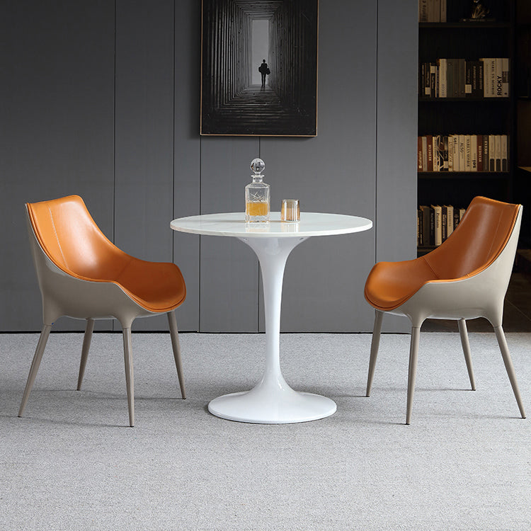 Contemporary Style Dining Side Chairs Kitchen Arm Side Chair with Metal Legs (Set of 2) Clearhalo ' kitchen&dining_furn' 'Dining Chairs' 'Dining Tables & Seating' 'dining_chair' 'furn' 'furn_dining_chair' 'Furniture' 'furniture_dining_chair' 'Kitchen & Dining Furniture' 'kitchen' 4103702