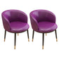 Scandinavian Side Chair Indoor Parsons Back Metal Upholstered Dining Room Chair Purple 2 Piece Set Brass Gold Clearhalo ' kitchen&dining_furn' 'Dining Chairs' 'Dining Tables & Seating' 'dining_chair' 'furn' 'furn_dining_chair' 'Furniture' 'furniture_dining_chair' 'Kitchen & Dining Furniture' 'kitchen' 4103796