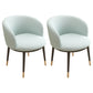 Scandinavian Side Chair Indoor Parsons Back Metal Upholstered Dining Room Chair White-Green 2 Piece Set Brass Gold Clearhalo ' kitchen&dining_furn' 'Dining Chairs' 'Dining Tables & Seating' 'dining_chair' 'furn' 'furn_dining_chair' 'Furniture' 'furniture_dining_chair' 'Kitchen & Dining Furniture' 'kitchen' 4103846