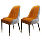 Scandinavian Style Wood Dining Chair Dining Room Armless Parsons Chair (Set of 2) Orange-Gray Clearhalo ' kitchen&dining_furn' 'Dining Chairs' 'Dining Tables & Seating' 'dining_chair' 'furn' 'furn_dining_chair' 'Furniture' 'furniture_dining_chair' 'Kitchen & Dining Furniture' 'kitchen' 4104124