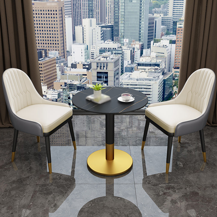 Scandinavian Style Metal Chair Dining Room Parsons Back Chairs (Set of 2) Clearhalo ' kitchen&dining_furn' 'Dining Chairs' 'Dining Tables & Seating' 'dining_chair' 'furn' 'furn_dining_chair' 'Furniture' 'furniture_dining_chair' 'Kitchen & Dining Furniture' 'kitchen' 4104558