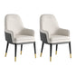 Nordic Style Kitchen Metal Dining Chair Parsons Arm Dining Side Chairs White-Gray 2 Piece Set Clearhalo ' kitchen&dining_furn' 'Dining Chairs' 'Dining Tables & Seating' 'dining_chair' 'furn' 'furn_dining_chair' 'Furniture' 'furniture_dining_chair' 'Kitchen & Dining Furniture' 'kitchen' 4104588