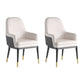 Nordic Style Kitchen Metal Dining Chair Parsons Arm Dining Side Chairs White-Black 2 Piece Set Clearhalo ' kitchen&dining_furn' 'Dining Chairs' 'Dining Tables & Seating' 'dining_chair' 'furn' 'furn_dining_chair' 'Furniture' 'furniture_dining_chair' 'Kitchen & Dining Furniture' 'kitchen' 4104593