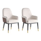 Nordic Style Kitchen Metal Dining Chair Parsons Arm Dining Side Chairs Coffee-White 2 Piece Set Clearhalo ' kitchen&dining_furn' 'Dining Chairs' 'Dining Tables & Seating' 'dining_chair' 'furn' 'furn_dining_chair' 'Furniture' 'furniture_dining_chair' 'Kitchen & Dining Furniture' 'kitchen' 4104604