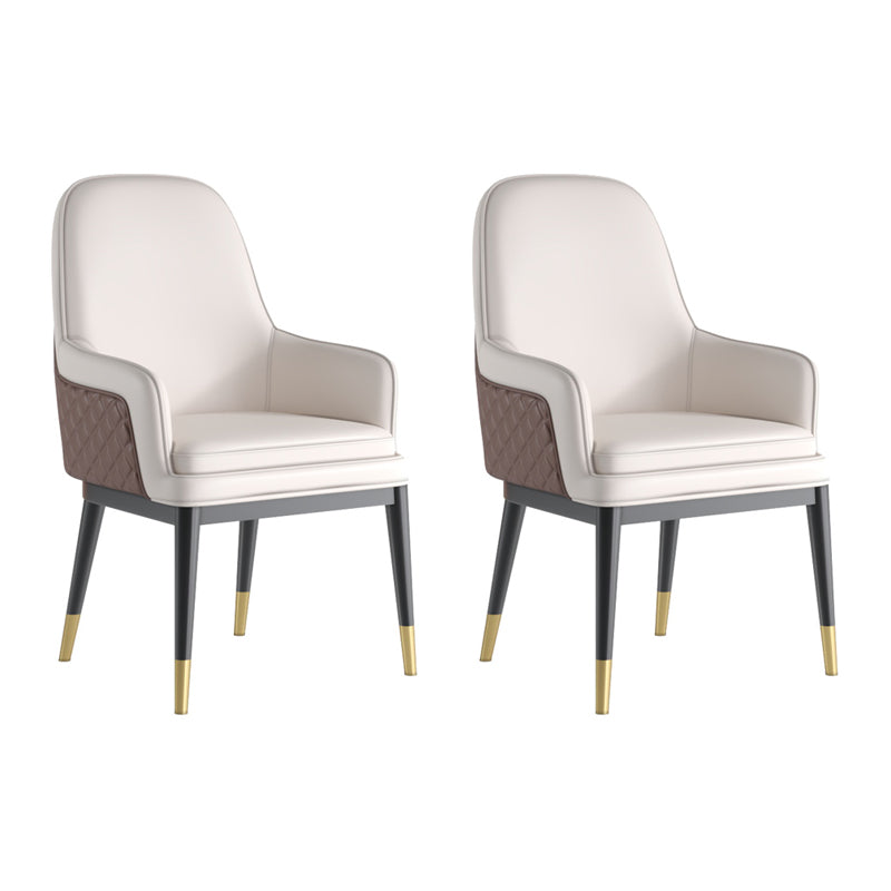 Nordic Style Kitchen Metal Dining Chair Parsons Arm Dining Side Chairs Coffee-White 2 Piece Set Clearhalo ' kitchen&dining_furn' 'Dining Chairs' 'Dining Tables & Seating' 'dining_chair' 'furn' 'furn_dining_chair' 'Furniture' 'furniture_dining_chair' 'Kitchen & Dining Furniture' 'kitchen' 4104604